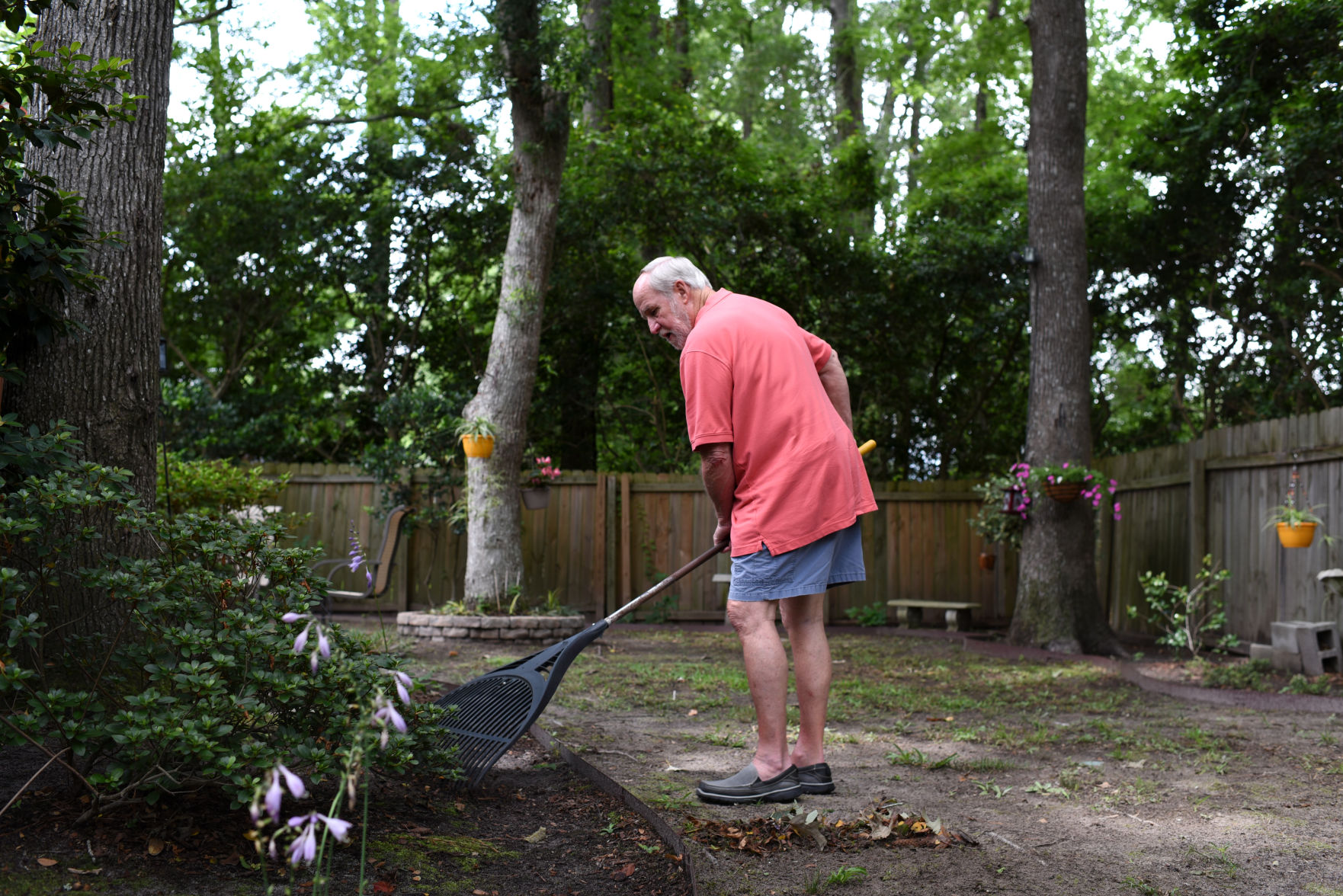 raking.jpg